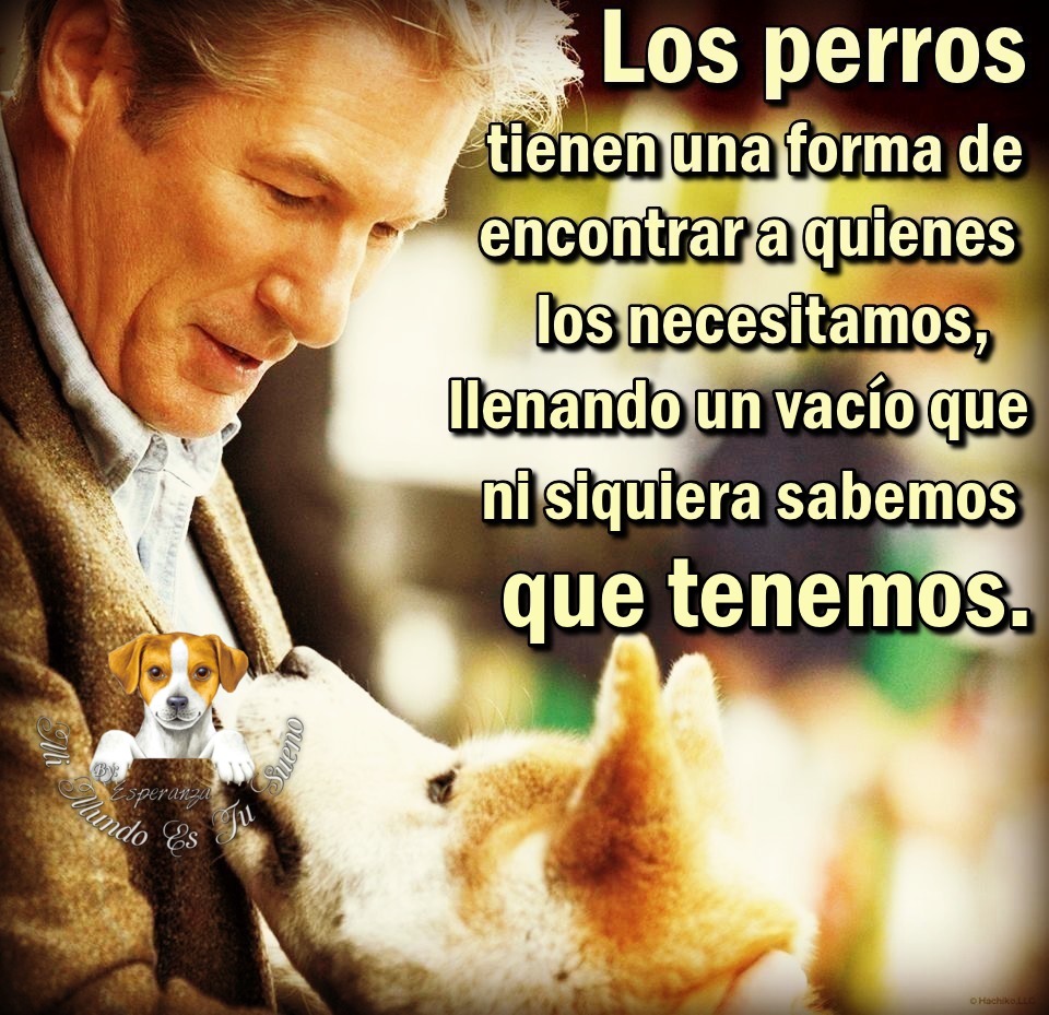 Resultado de imagen para mi mundo es tu sueño frases