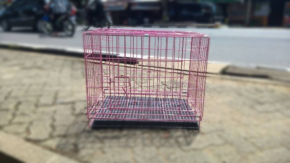 jual kandang dan perlengkapan kucing jambi hewan jual kandang dan perlengkapan kucing jambi hewan