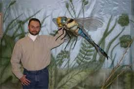 Biology Ii Prehistoric Gigantic Insects
