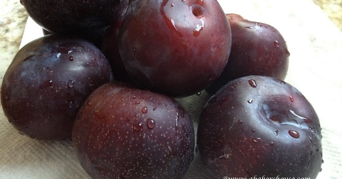 Read * Talk * Poem This Is Just To Say (William Carlos Williams)