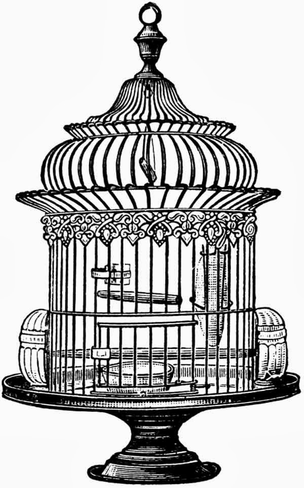 free vintage bird cage clip art, clip art, vintage, bird cage