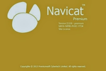 Navicat Premium İndir Navicat Premium İndir