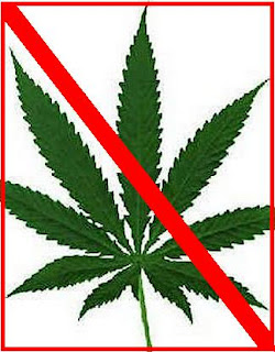 Cannabis Cannabis