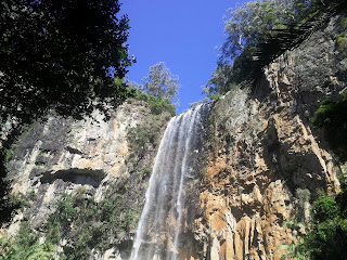 Springbrook national park. Purling Brook Falls