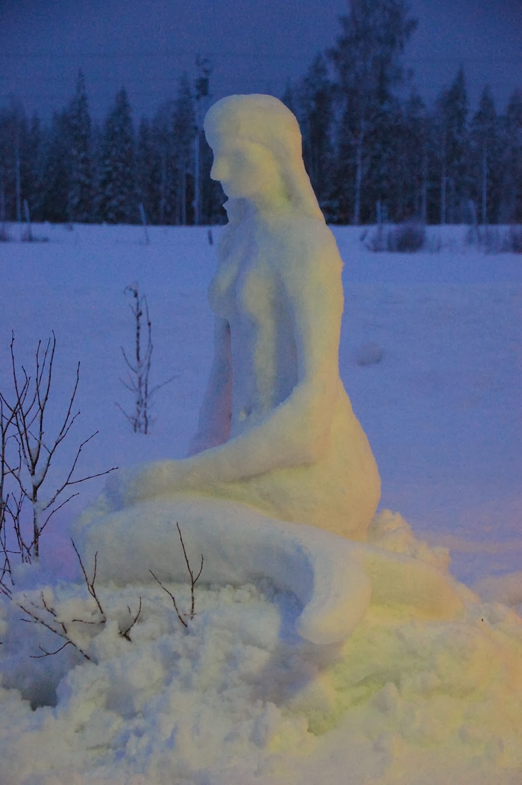 Svanå trädgård: januari 2014