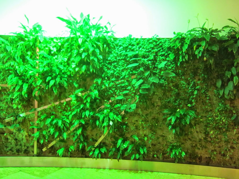 Ode Street Tribune green wall growing lushly in Rosslyn's Artisphere