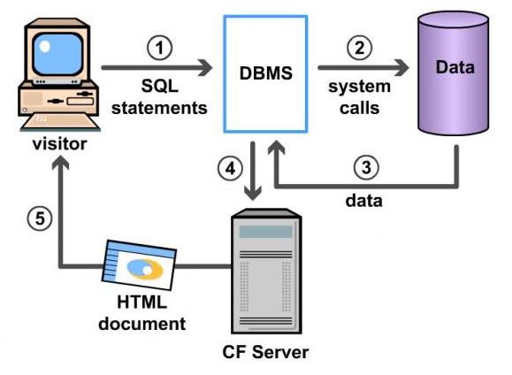 what is a database management system how does it work
