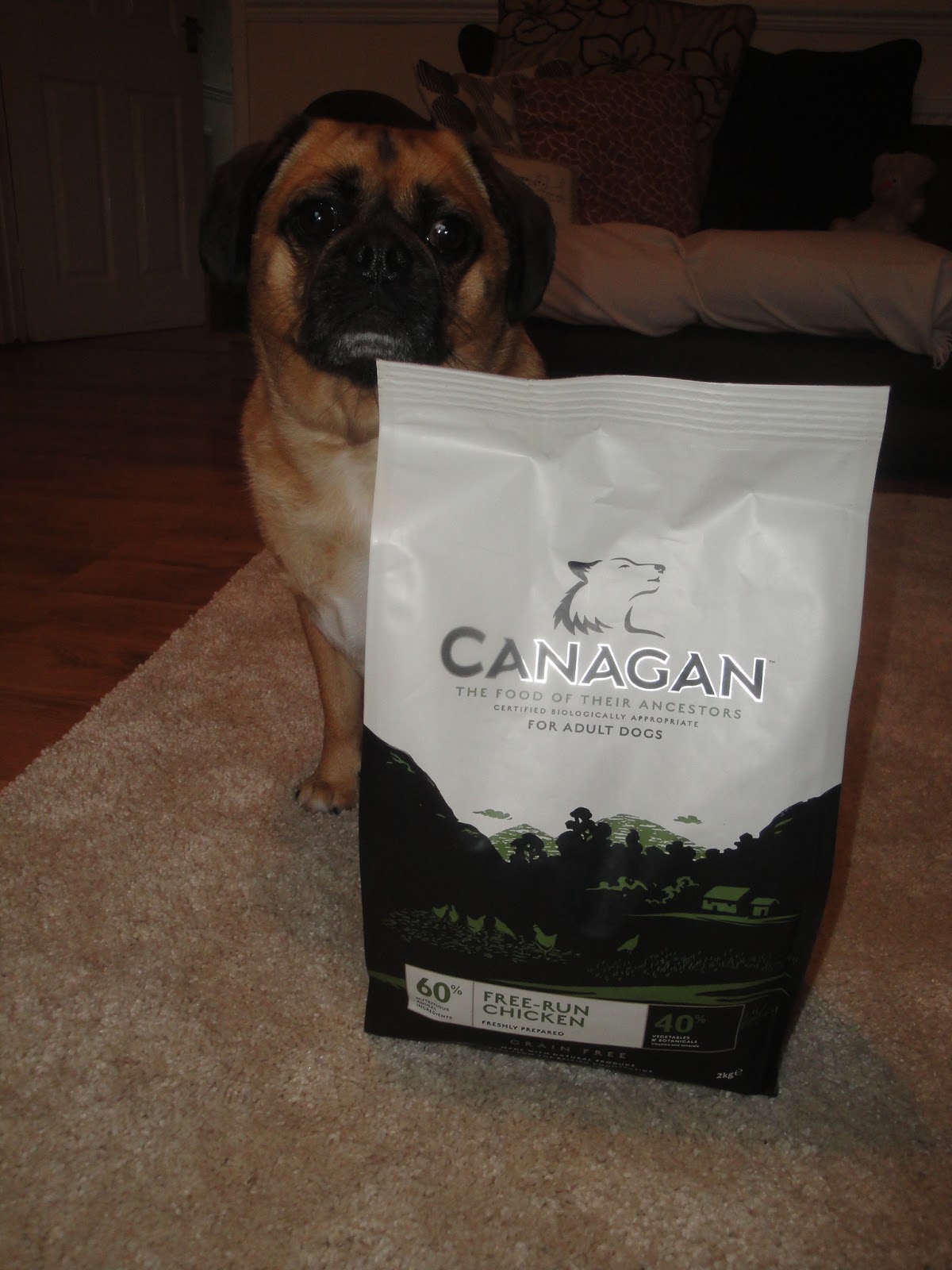 The Adventures of The Tank Product Review Canagan Dog Food (Part 1)