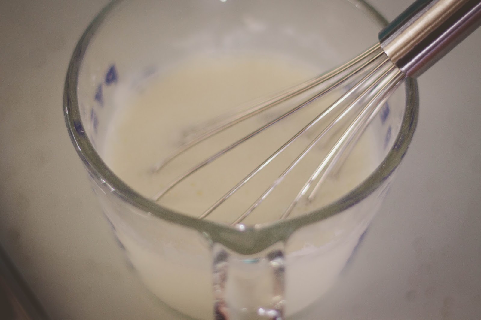 Green Woods Photography & Personal Blog Chicken, Chia Seed, and Gravy