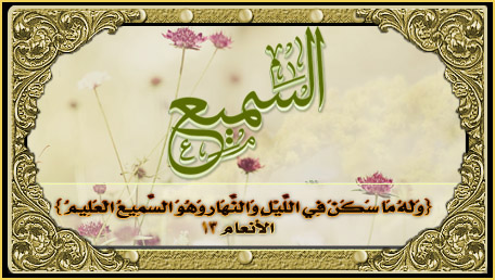  الس%D