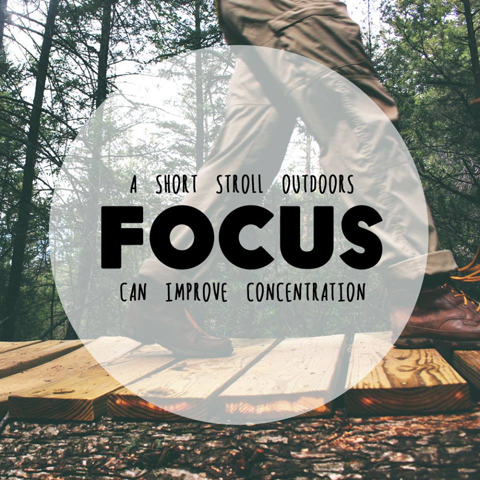 FOCUS