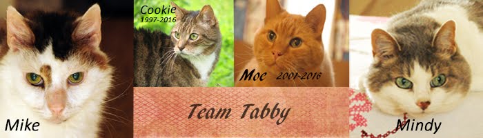 Team Tabby