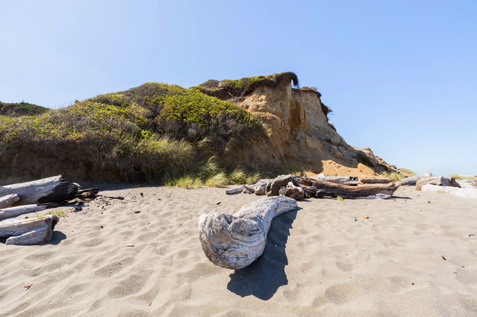 Naturetastic Blog Brookings, Gold Beach Oregon Coast