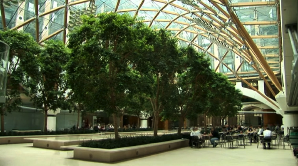 Local Ecologist: Biophilic Design: Film Screening & Discussion, 10/23