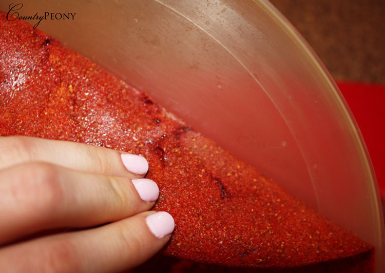 Country Peony Homemade Fruit Strips