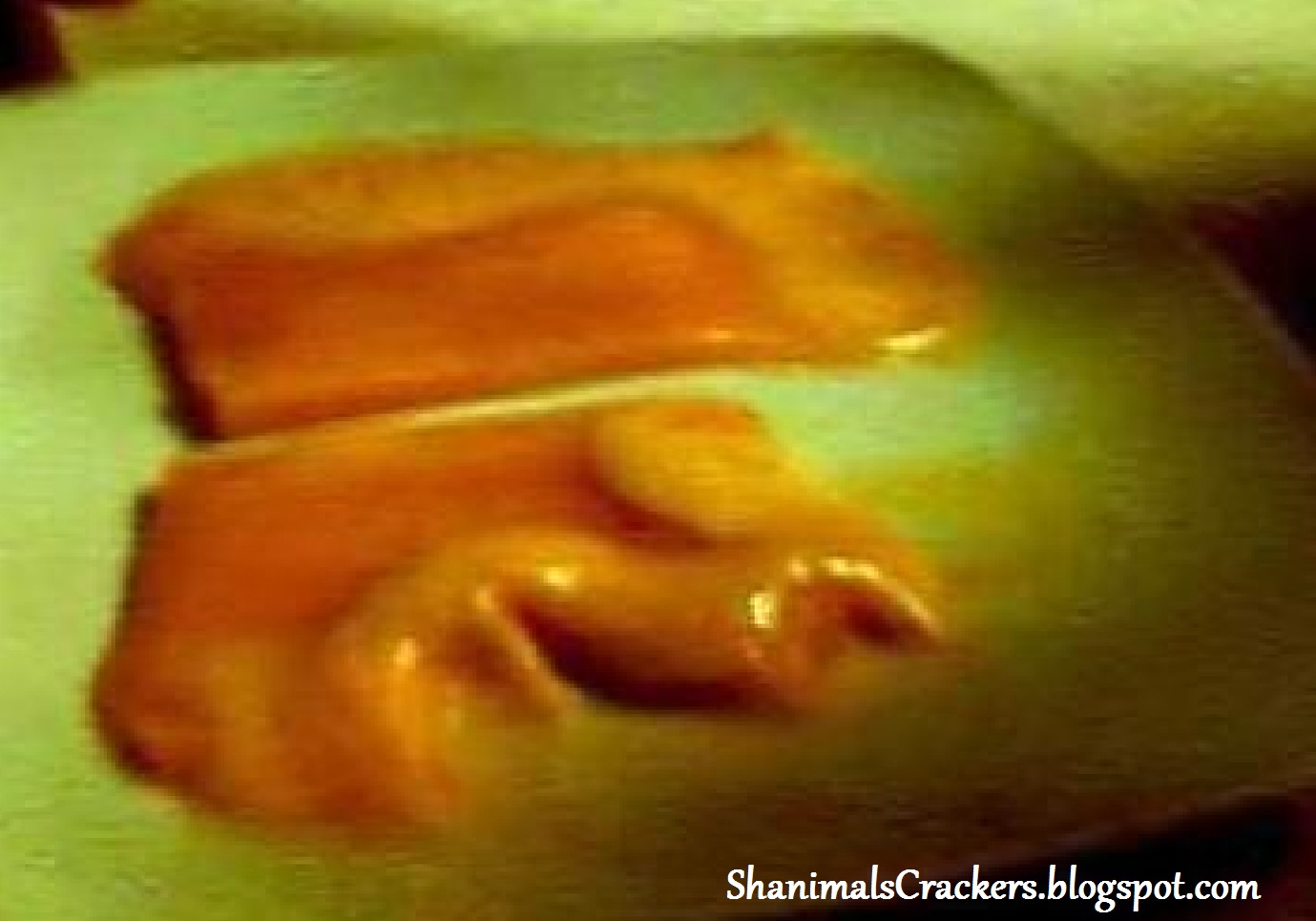 Cartoon Melted Cheese