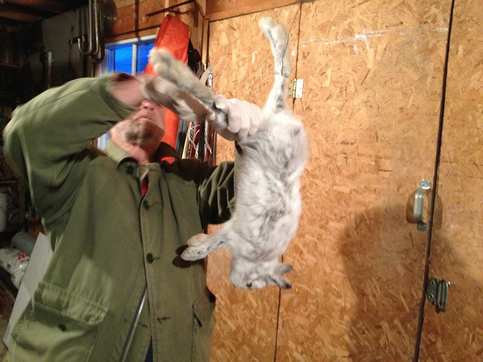 Un pacte avec la forêt | 180 degrés