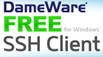 DameWare SSH Client, Software Ampuh Pengganti Bitvise DameWare SSH Client, Software Ampuh Pengganti Bitvise