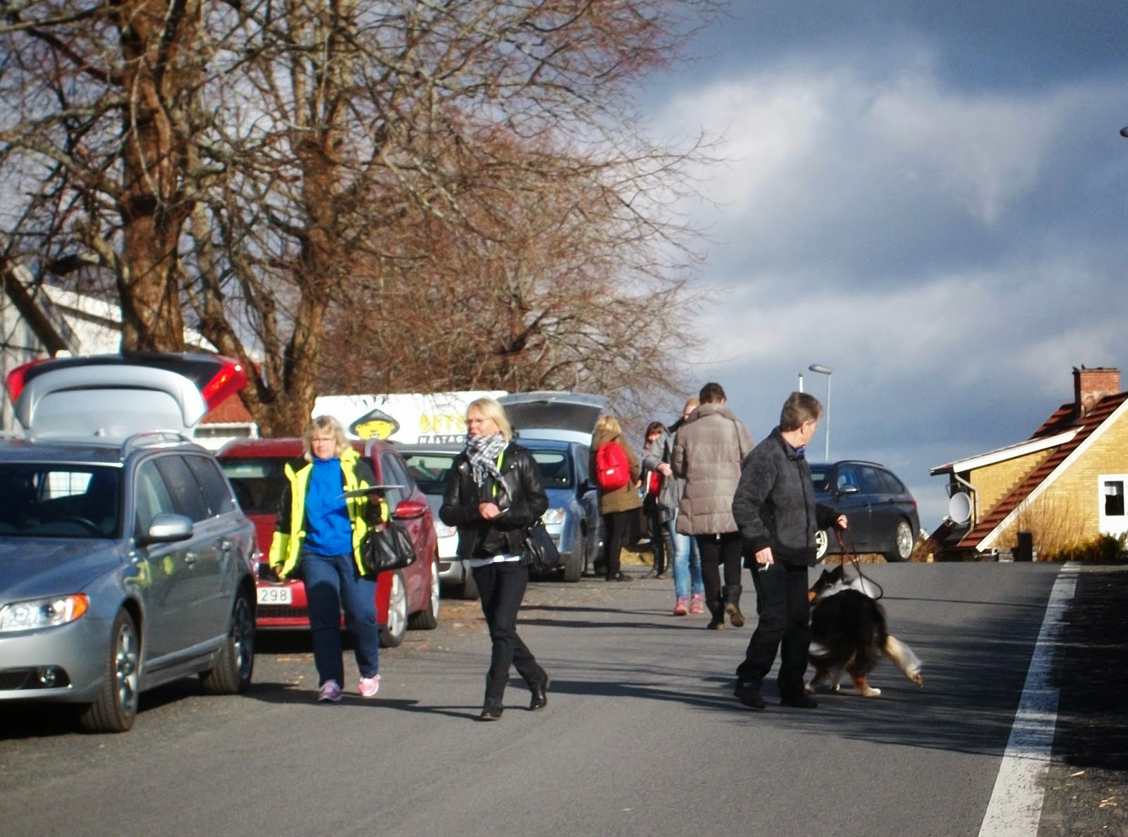 dejting för hundar england