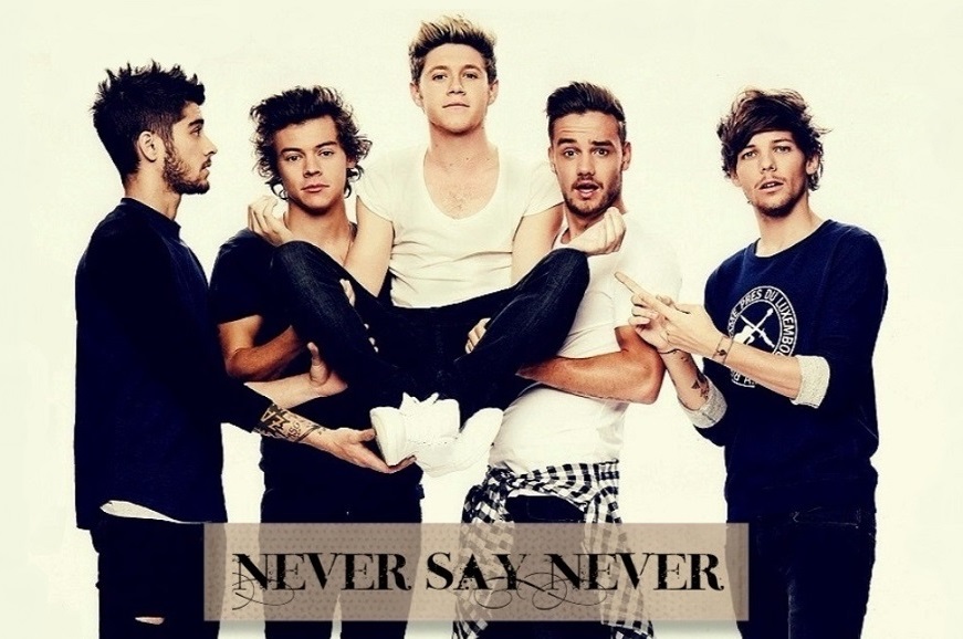 Never say Never  - Blog o One direction 