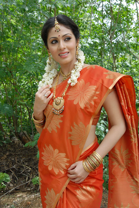 sada gorgeous in beautiful orange saree hot images