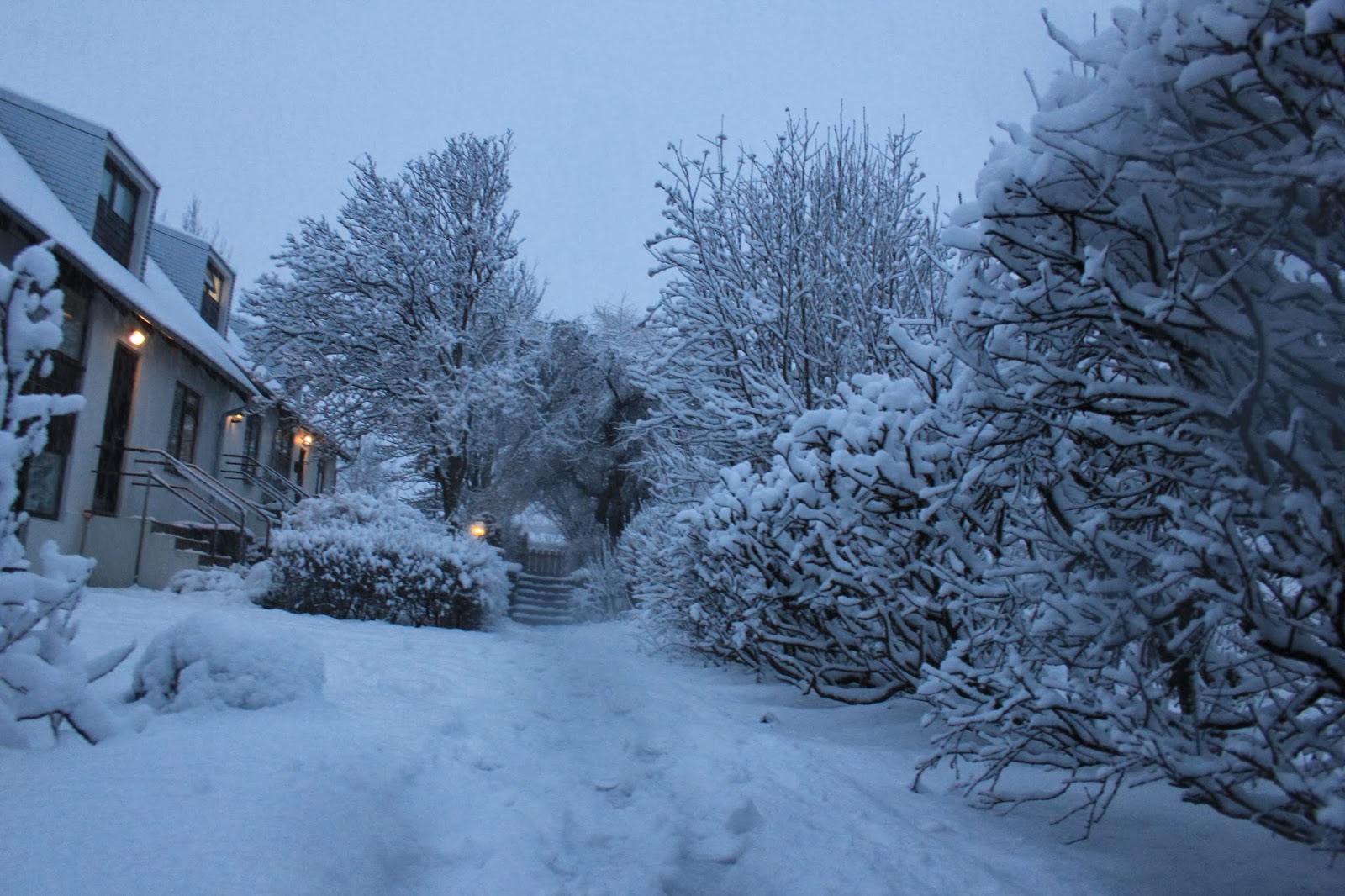 Iceland news and more,video and photos Little bit of snow in Reykjavik,Iceland january 30 2014