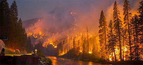 http://ecologywa.blogspot.co.uk/2015/04/greater-risk-of-wildfires-in-washington.html