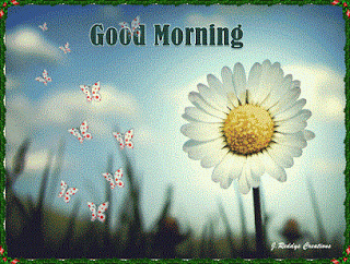 whatsapp good morning images good morning images