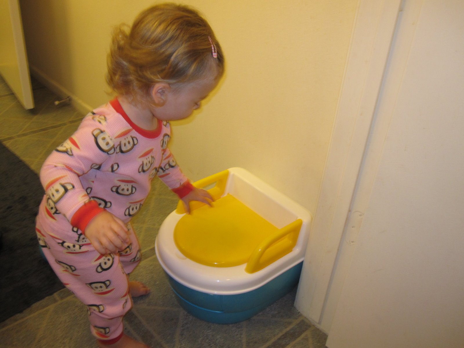 Mini Tipdawg Blog Getting To Know The Potty Chair!