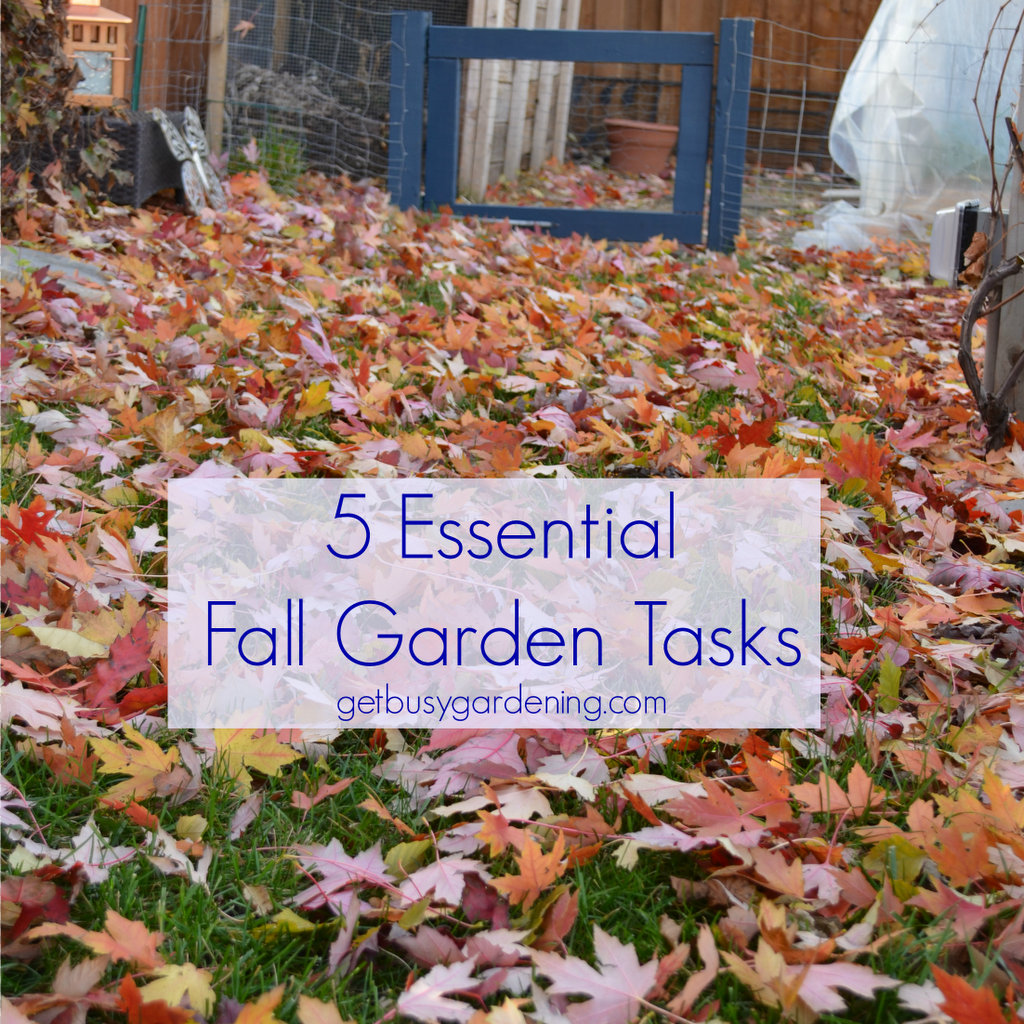 301 Moved Permanently