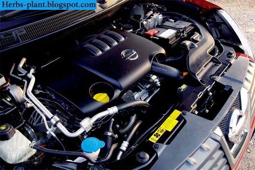 Nissan qashqai car 2013 engine - صور محرك سيارة نيسان كاشكاي 2013 Nissan qashqai car 2013 engine - صور محرك سيارة نيسان كاشكاي 2013