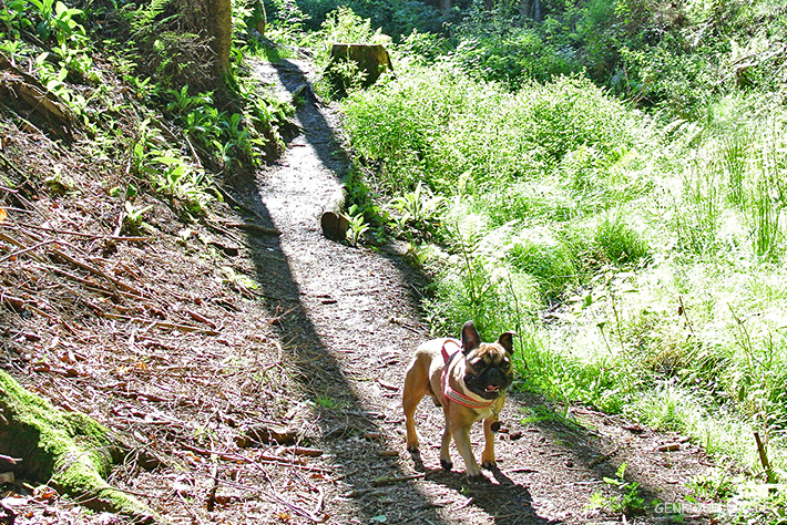 5 Weiher Tour Saarland 5 Weiher Tour Saarland