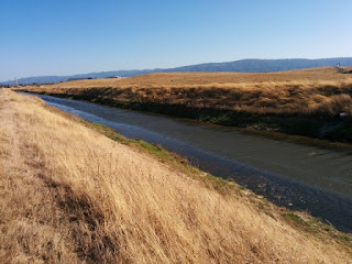 Looking west along the channel where Stevens Creek meets San Francisco Bay, Mountain View, California