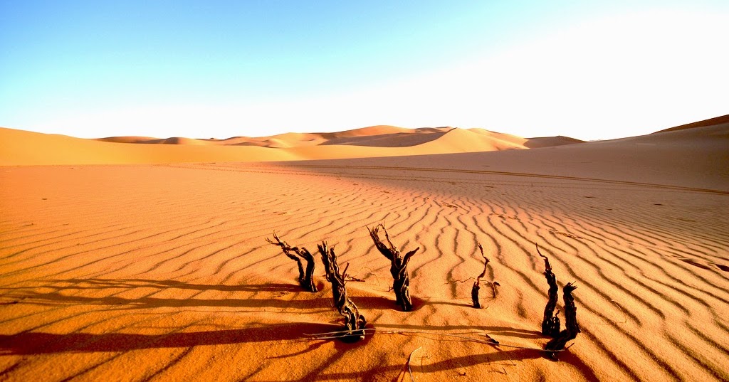 Answering Christianity: SIAPAKAH NABI PALSU DI PADANG GURUN?