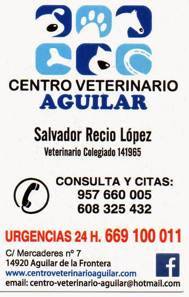 VETERINARIO