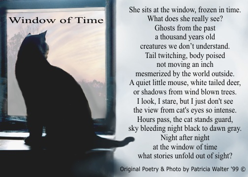 Funny Poem Beautiful Sounds From The Inside Of Cat Funny Poem Beautiful Sounds From The Inside Of Cat