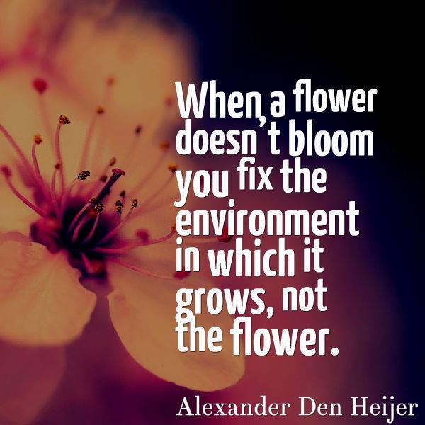 AnneKcam "When a flower doesn't bloom, you fix the environment in