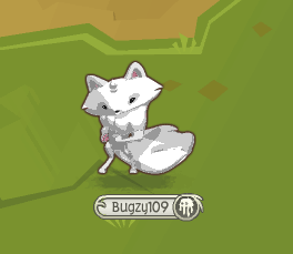 Animal jam gift time Animal jam gift time
