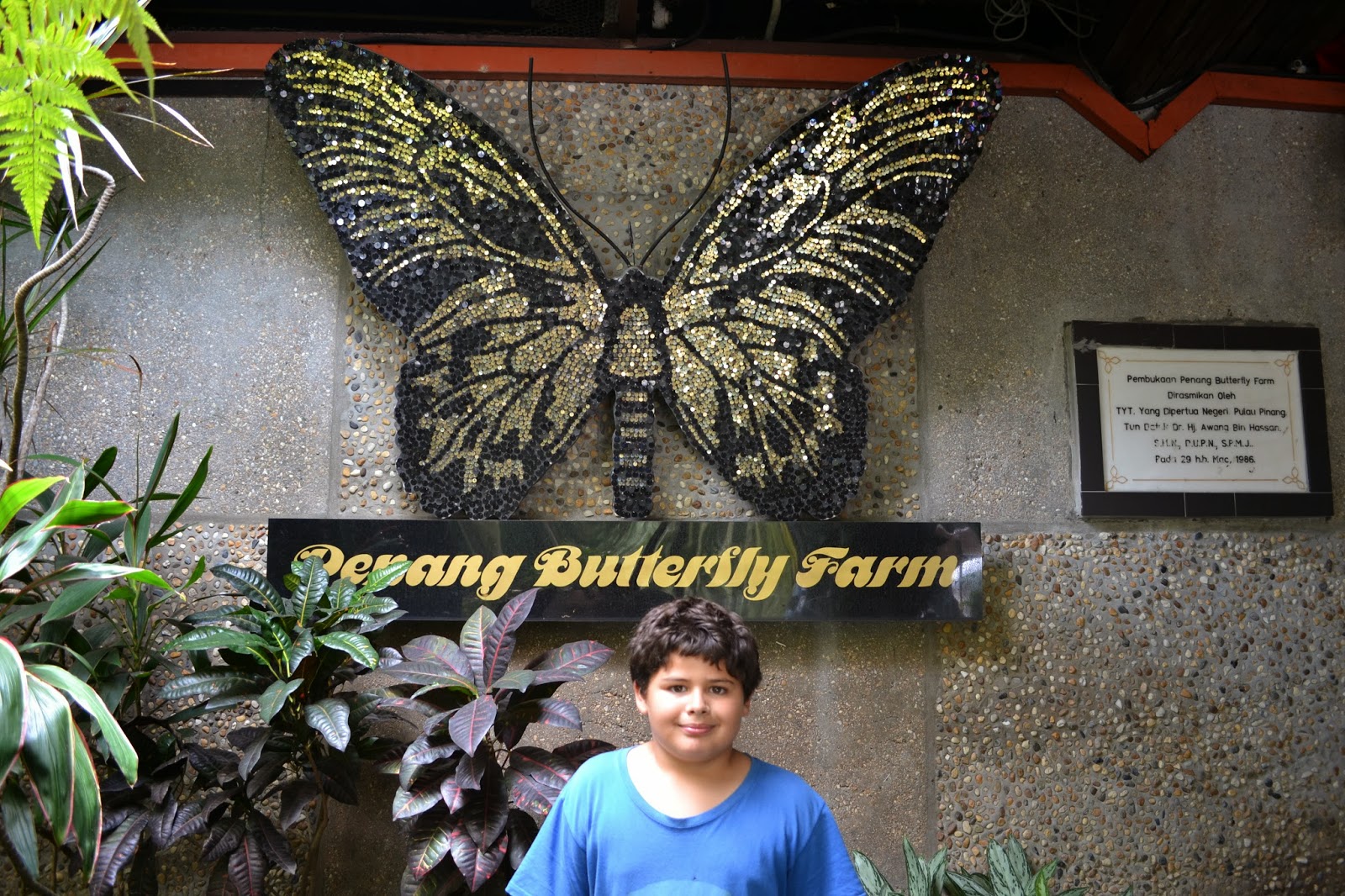 Family Travel Blog Penang Butterfly Garden