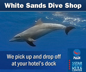 White Sands Dive Shop