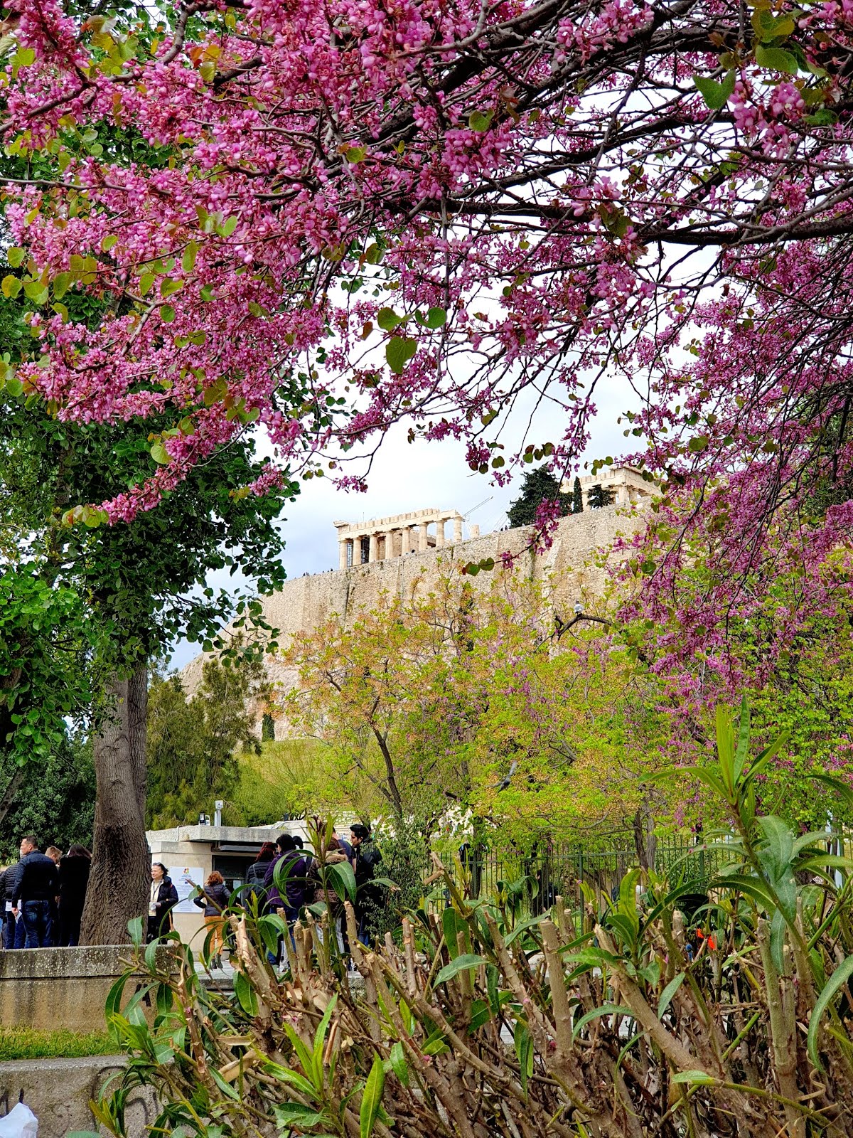 Spring in Athens