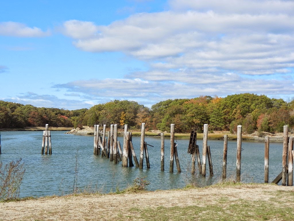 Guided Discovery Hingham Adventures Bear Cove Park