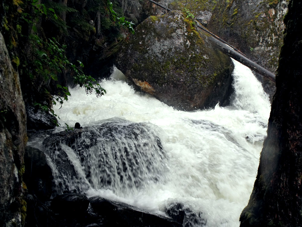Okanagan Jen Waterfalls of the Okanagan Sicamous Creek Falls