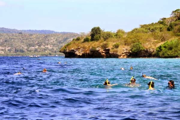 Pulau Menjangan Tempat Snorkeling di Bali