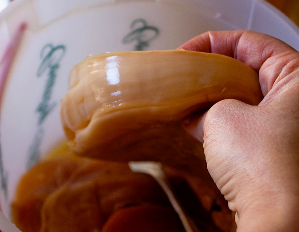 Rurification Vinegar Mothers