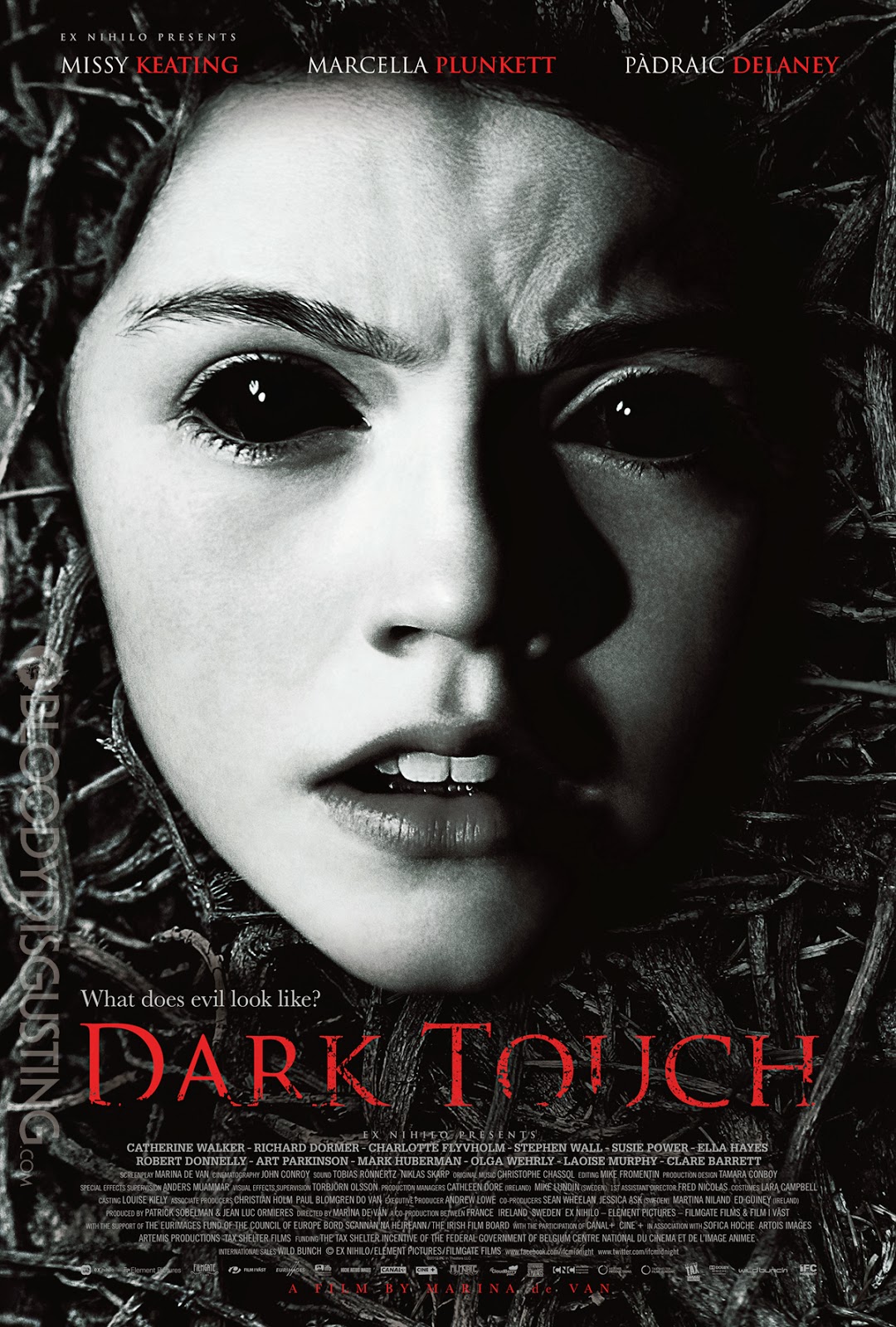 El Ojo del Horror Crítica Dark Touch (2013)