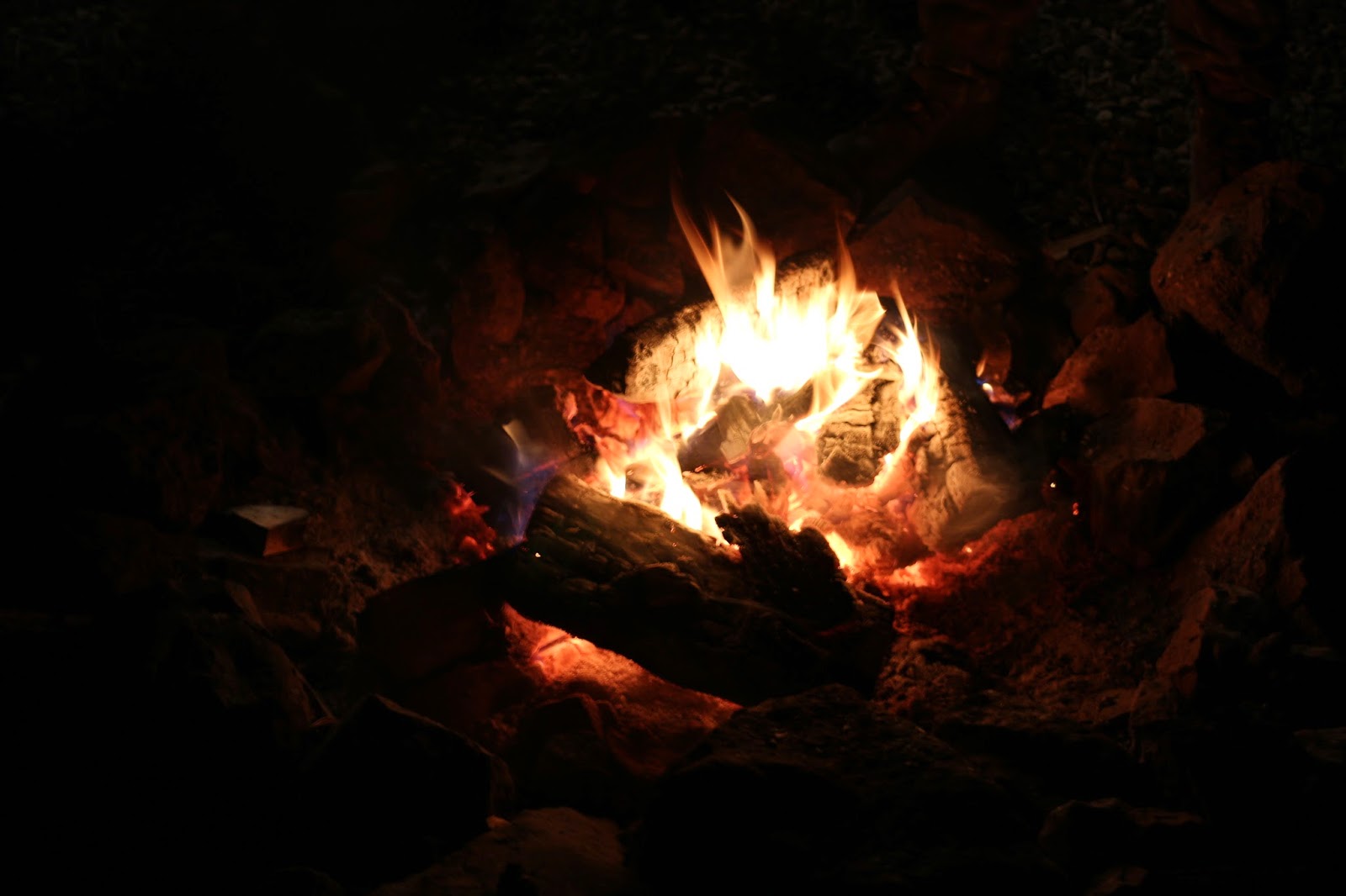 Merriams+turkey+hunt+photos+with+Jay+Scott+Outdoors+4.JPG