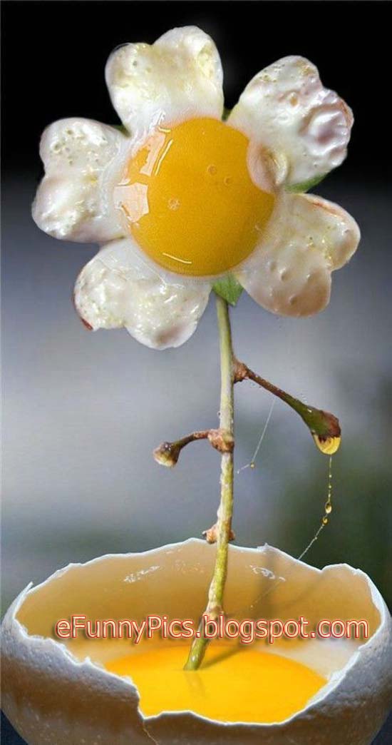 Egg-Shaped Flower
