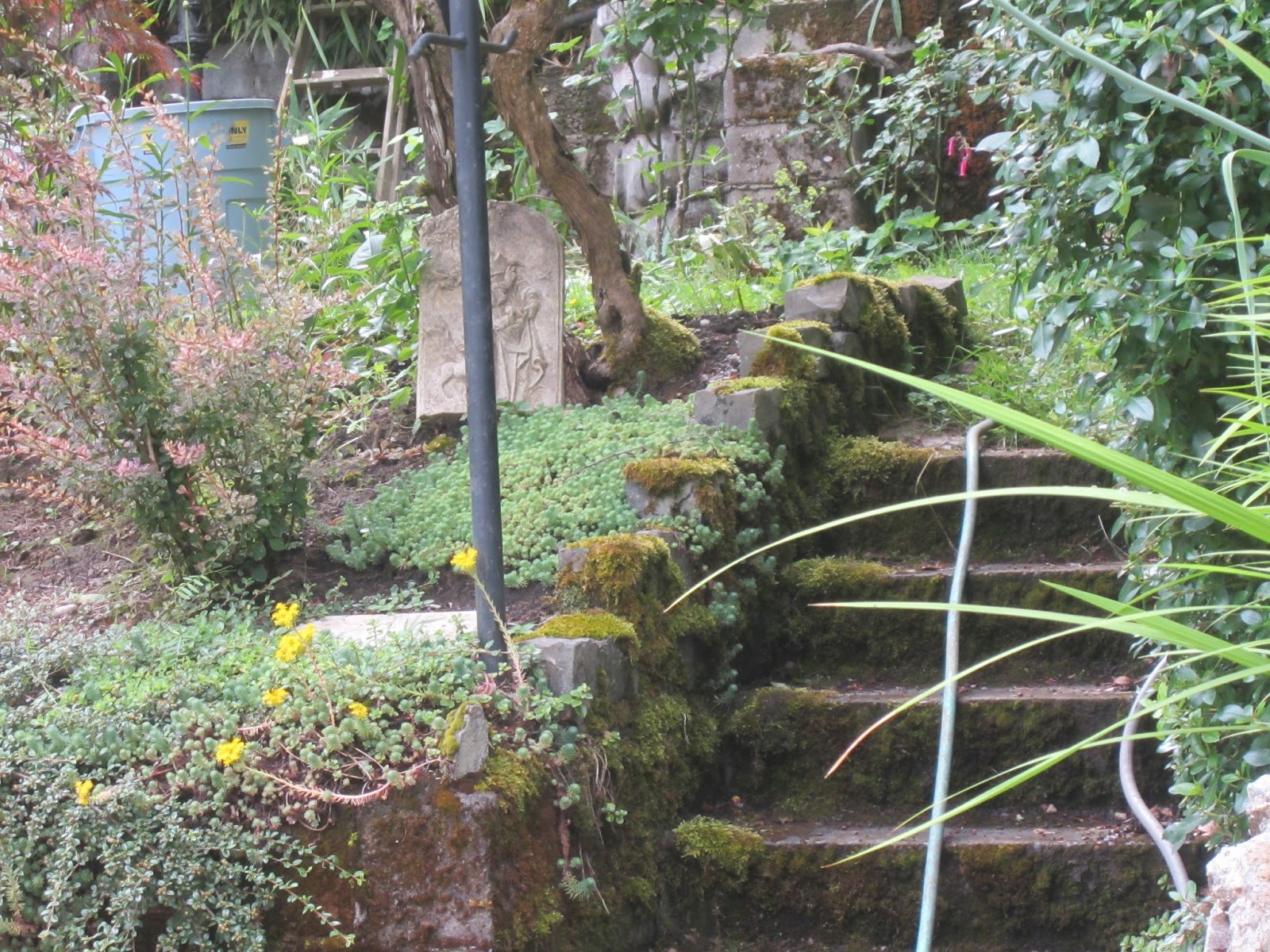 Sprouts Kathleen's Spectacular Shade GardenPortland, OR