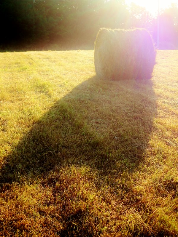 Enchanted Blue Hay Bale the documentary